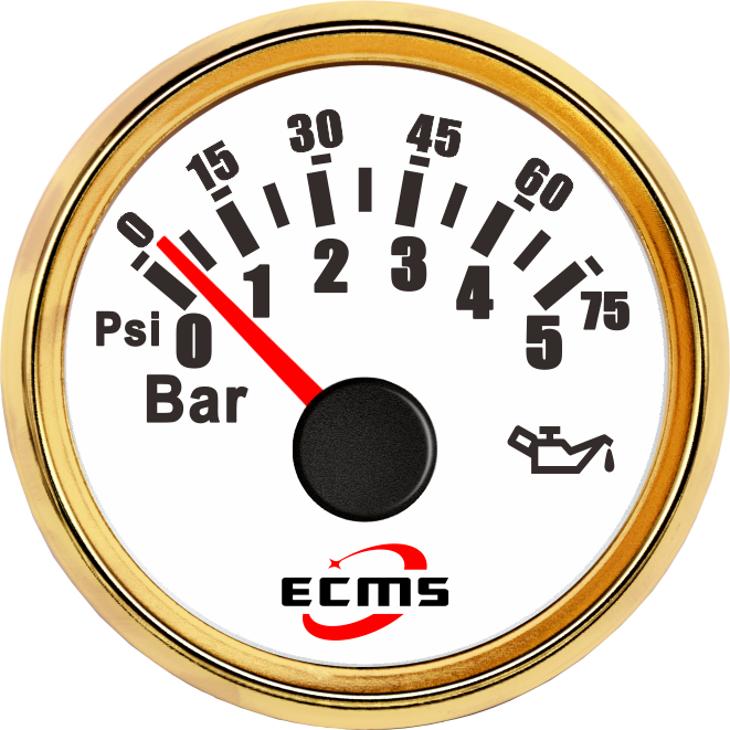 ECP/ECP2-5Bar压力表