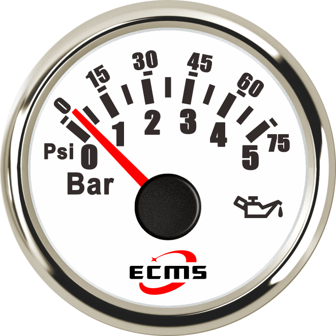 ECP/ECP2-5Bar压力表