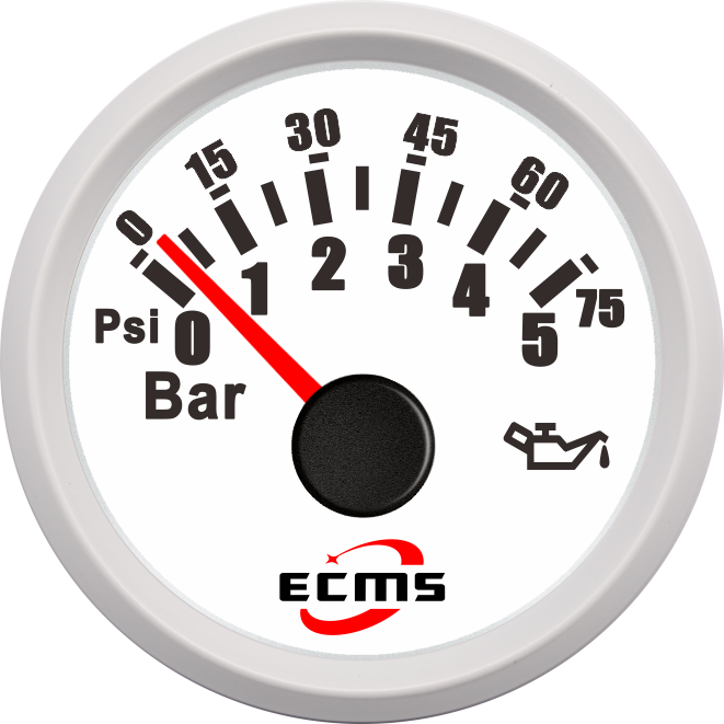 ECP/ECP2-5Bar压力表